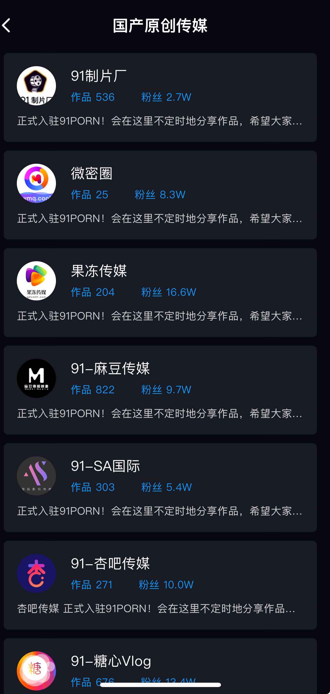 91PO视频传媒列表界面